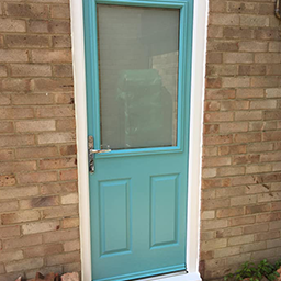 blue back door
